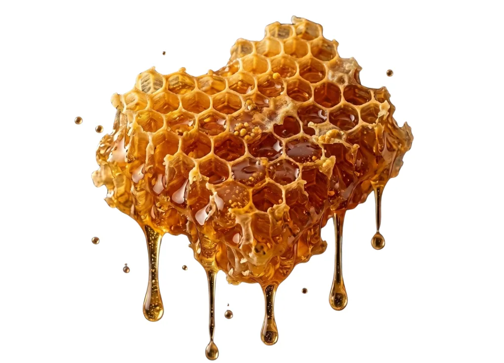 Raw honeycomb dripping with honey
